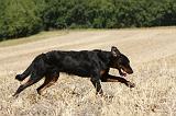 BEAUCERON 754